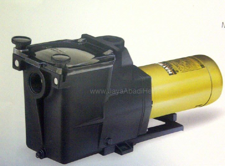 Hayward Super Pump